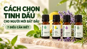 Cách chọn tinh dầu cho người mới bắt đầu