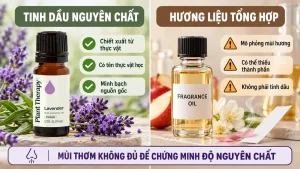 Phân biệt tinh dầu nguyên chất và hương liệu tổng hợp