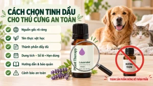 Chọn đúng tinh dầu cho thú cưng