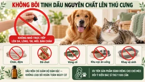 Không bôi tinh dầu lên chó mèo