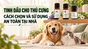 Tinh dầu cho thú cưng an toàn